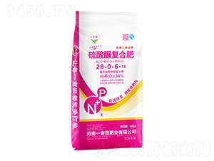 �����帴�Ϸ���28-0-6+TE-һĶ��-һĶ���ҵ