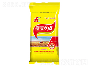 ����618-С������-������ҵ