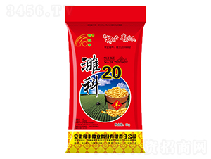 塿�20-������-������ҵ