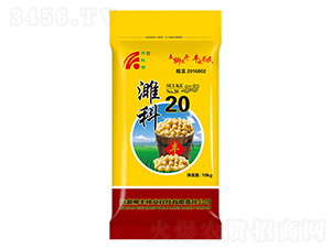 塿�20������-������ҵ