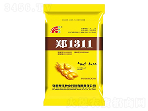 ֣1311������-������ҵ