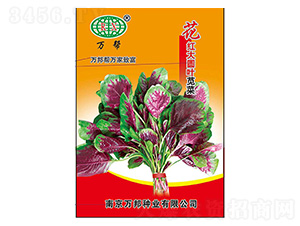 ��ﻨ���ԲҶ�Ȳ�����-�����ҵ