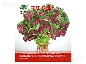 �����ԲҶ�Ȳ�����-�����ҵ