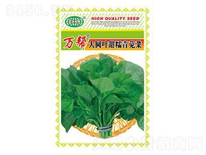 ����ԲҶ��Ŵ���Ȳ�����-�����ҵ