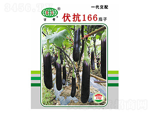 ����166����-��������-�����ҵ