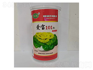 ����101(�ӽ�һ��)����������-�����ҵ