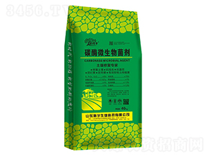 ̼ø΢�������-����-�������