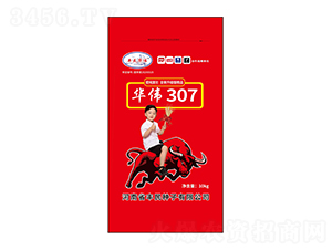 ��ΰ307С������-��������