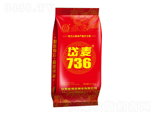 ���736С������-������ҵ