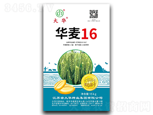 ����16-С������-����ҵ