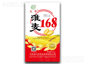 ����168-С������-����ҵ