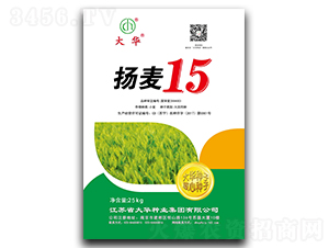 ����15-С������-����ҵ