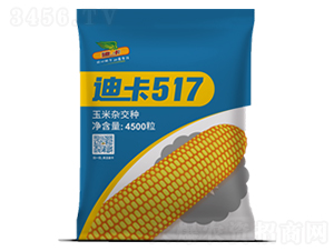 �Ͽ�517-��������