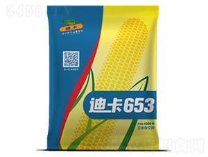 �Ͽ�653-��������