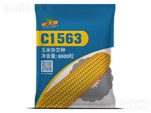 C1563-��������