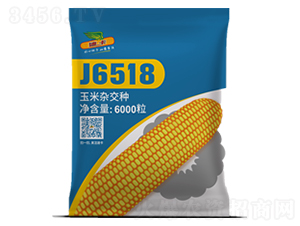 J6518-��������