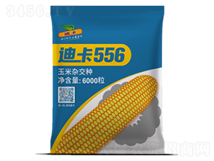 �Ͽ�556-��������