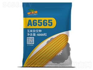A6565-��������