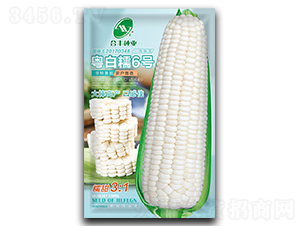 ����Ŵ6��-��������-�Ϸ���ҵ