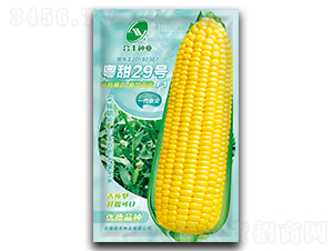 ����29-��������-�Ϸ���ҵ