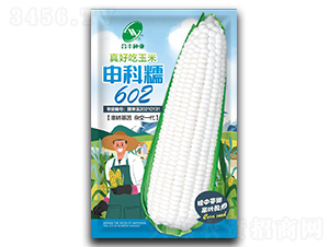 ���Ŵ602-��������-�Ϸ���ҵ