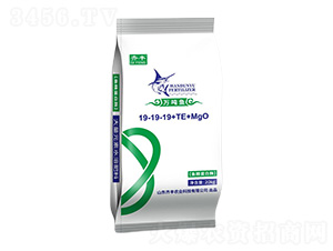 �㾫����ø����Ԫ��ˮ�ܷ�19-19-19+TE+MgO-�����-���ũҵ