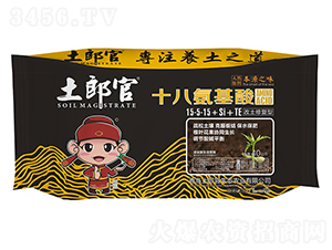 ʮ�˰�����15-5-15+Si+TE-���ɹ�
