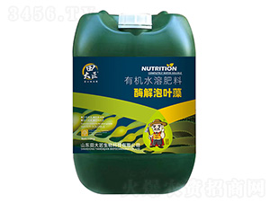 ø����Ҷ��-���