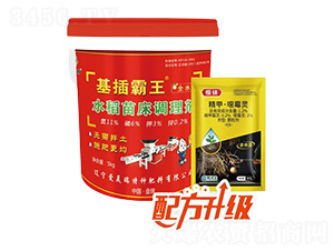 ˮ���紲��������ˮ���ͣ�-�������-������