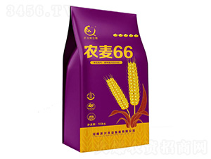 ũ��66-С������-��֮Ʒ