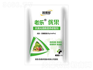 500g������ϸ��Ӫ���޸���-�����Ź�-³�°�