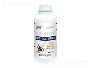 1000mlֲ�ROS����������-³�°�