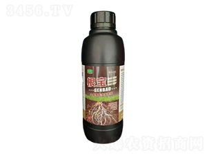 ����ֲ��ˮ�ܷ���-����-�ʷ�ũҵ