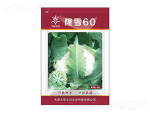 ¡ѩ60-��¡����-��¡ũҵ