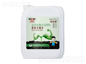 ����������-�ض���-��˸����