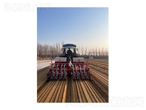 2¢8�С��������޲˲��ֻ�-��˳����