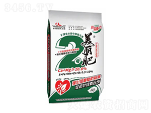 ������2�ſ��͸��Ϸ�Ca+Mg��10.0%-̨��ڷ�-΢������