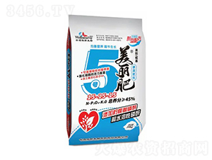 ������5�ſ��͸��Ϸ�15-15-15-̨��ڷ�-΢������