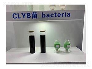 CLYB��-��������