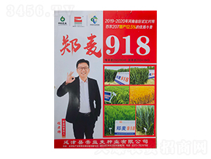 С������-֣��918-��������ҵ