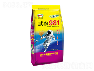 ��ũ981С������-ΰ���ļ�-ΰ����ҵ