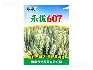 С������-����607-������ҵ