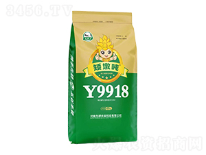 С������-���ն�Y9918-�ȸ�ũҵ