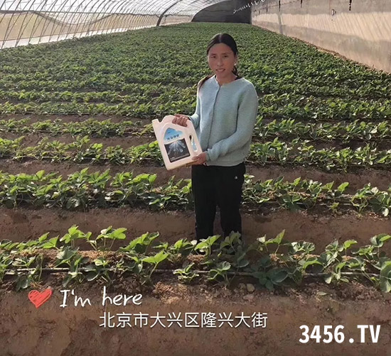 要想草莓长势好,这两款产品不能少!! 要想草莓长势好,这两款产品不能少!!
