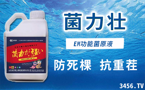 要想草莓长势好,这两款产品不能少!! 要想草莓长势好,这两款产品不能少!!