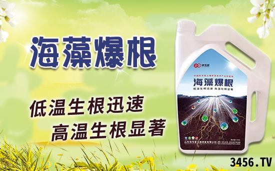 要想草莓长势好,这两款产品不能少!! 要想草莓长势好,这两款产品不能少!!