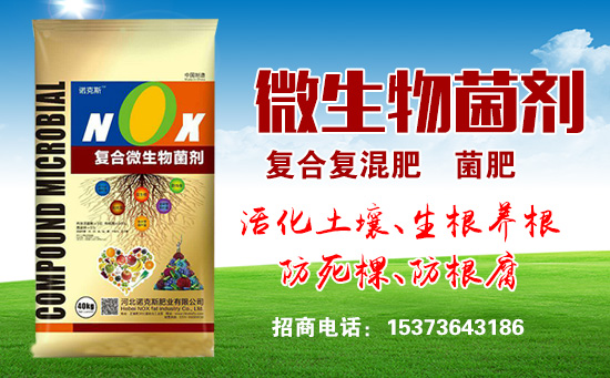 河北康诺肥业有限公司.jpg