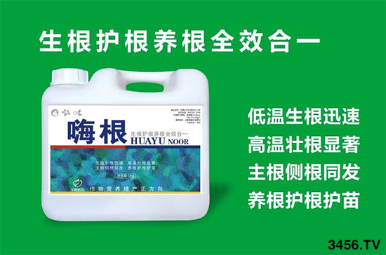 根系——作物生长的命脉!怎样做才能让根系生长良好? 根系——作物生长的命脉!怎样做才能让根系生长良好?