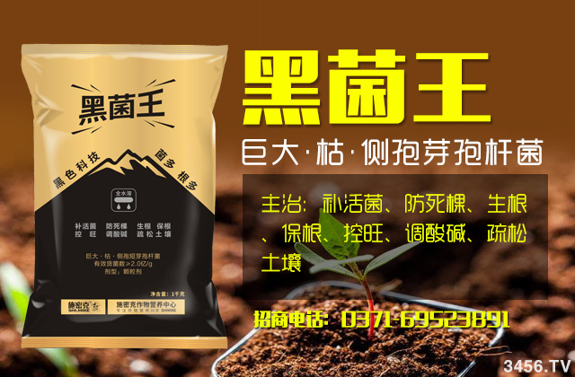 复合微生物菌有哪些功效?复合微生物菌产品推荐 复合微生物菌有哪些功效?复合微生物菌产品推荐