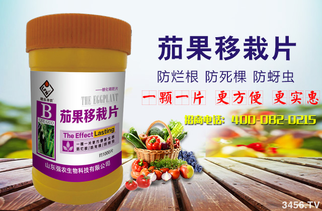 茄果秋季移栽为何要施硼肥?硼元素对作物的影响,种植户需牢记在心! 茄果秋季移栽为何要施硼肥?硼元素对作物的影响,种植户需牢记在心!